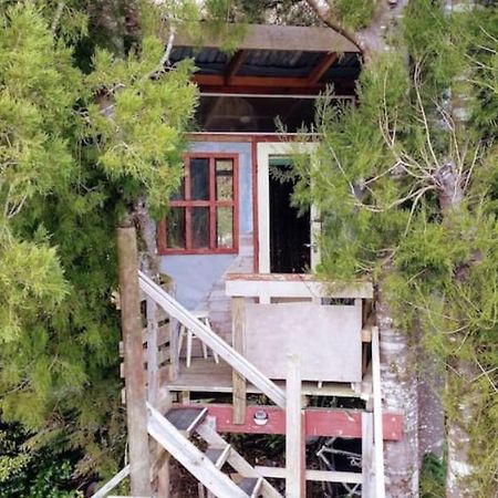 The Treehut At The Rabbithole, Upper Hutt Hotell Akatarawa Exteriör bild